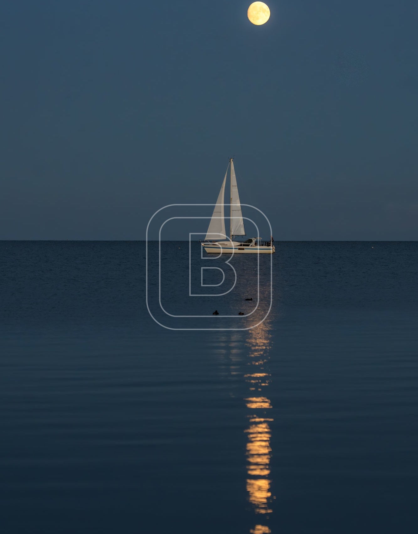 STILLEVEN_ZEILBOOT_VOLLEMAAN