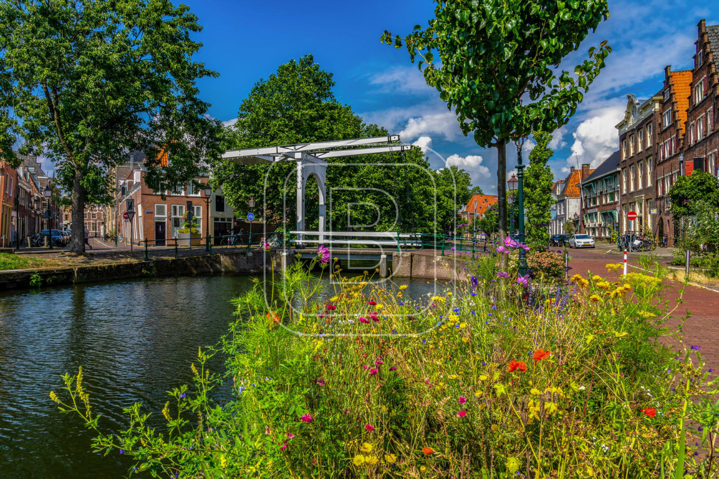 ONDER_DE_BOOMPJES