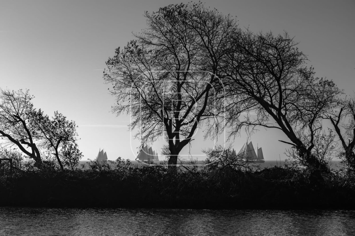 LANDSCHAP_LANTAARNDIJK