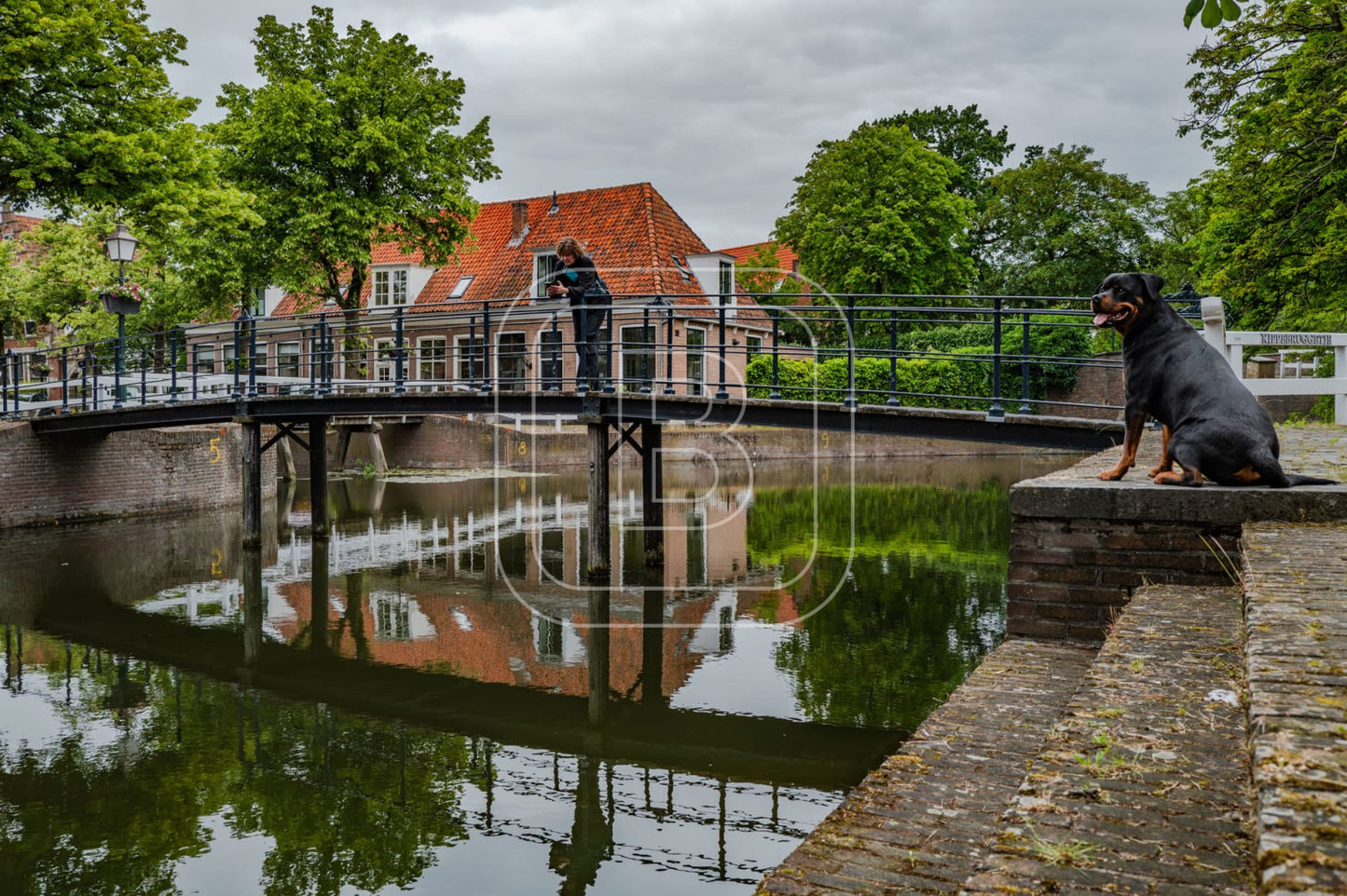 NIEUWLAND_KIPPEBRUGGETJE