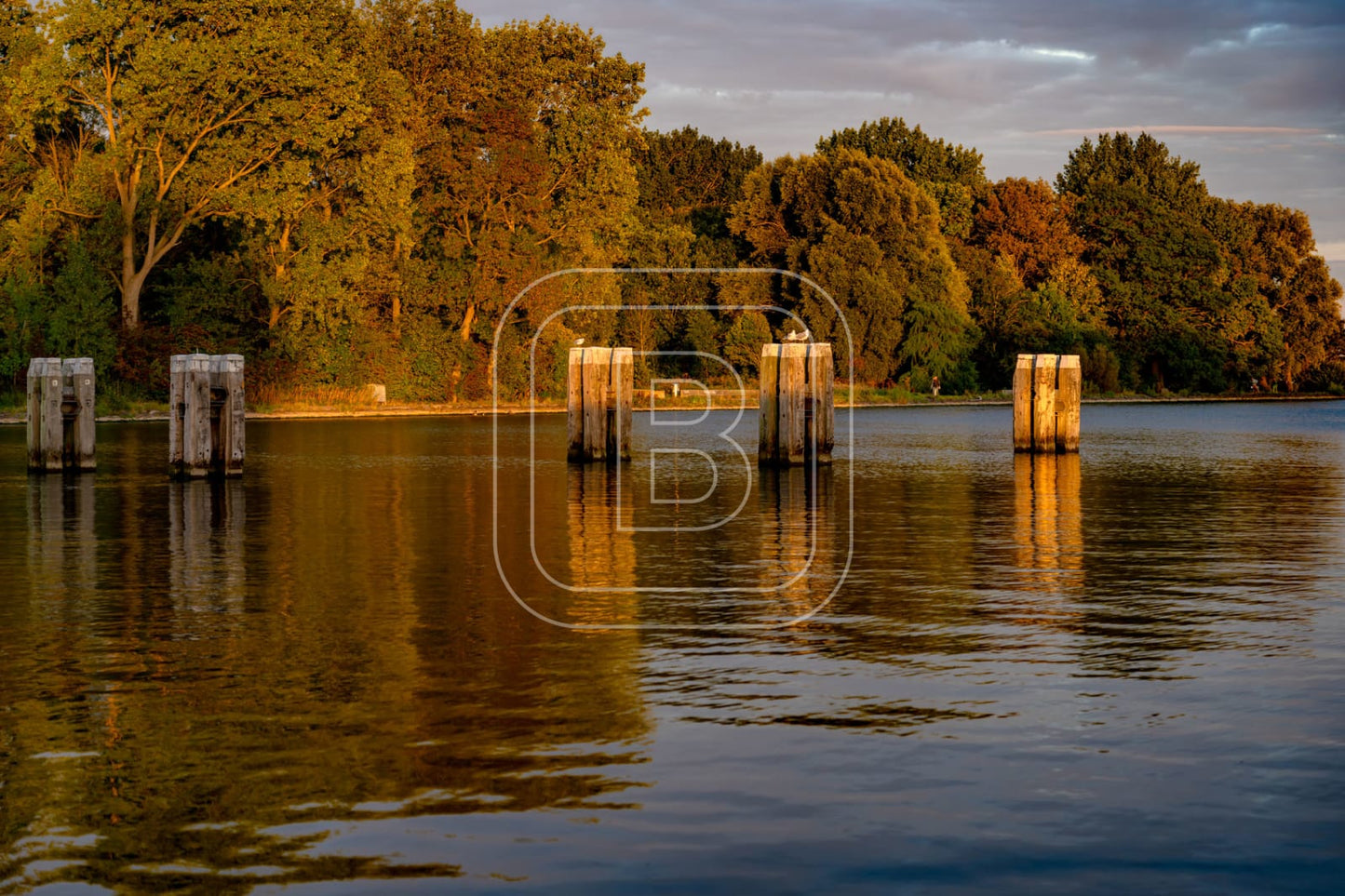 LANDSCHAP_JULIANAPARK