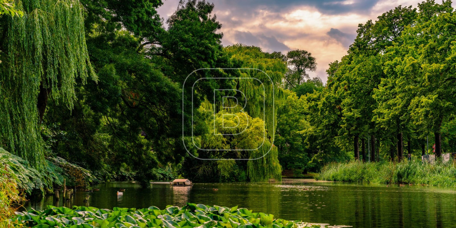 panorama_draafsingel_liggend