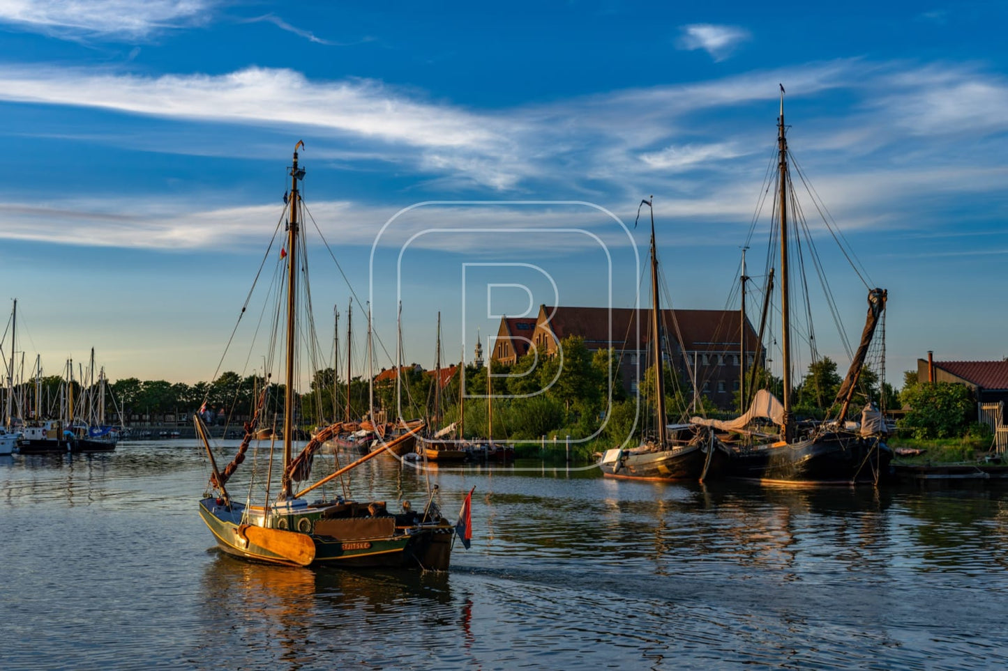 GRASHAVEN_OOSTEREILAND_ZOMER