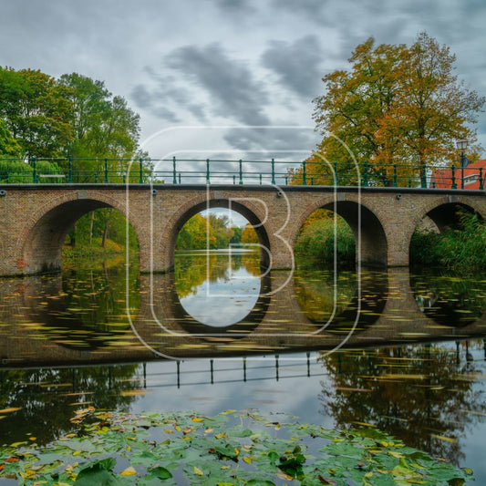 overzicht
