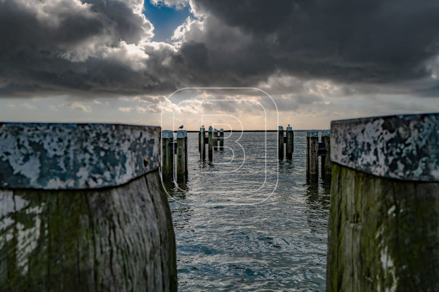 STILLEVEN_KUST