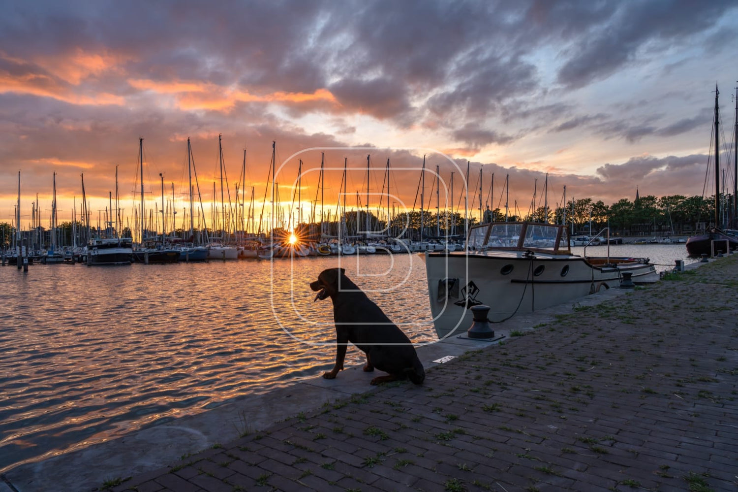 GRASHAVEN_ZOMER_Zonsondergang