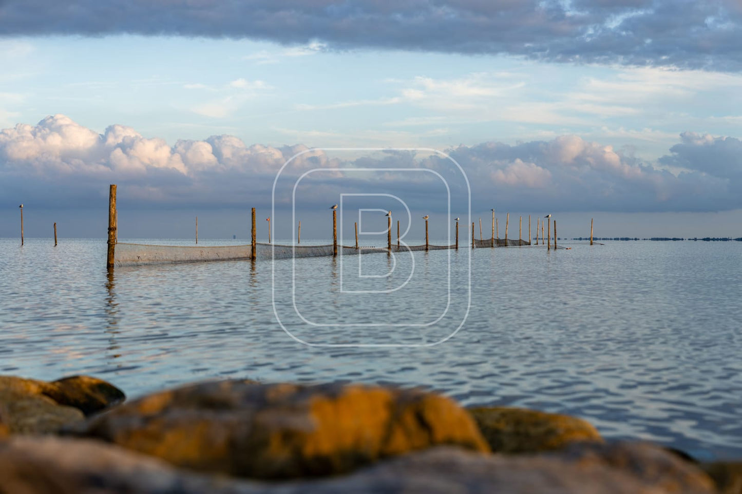 STILLEVEN_KUST