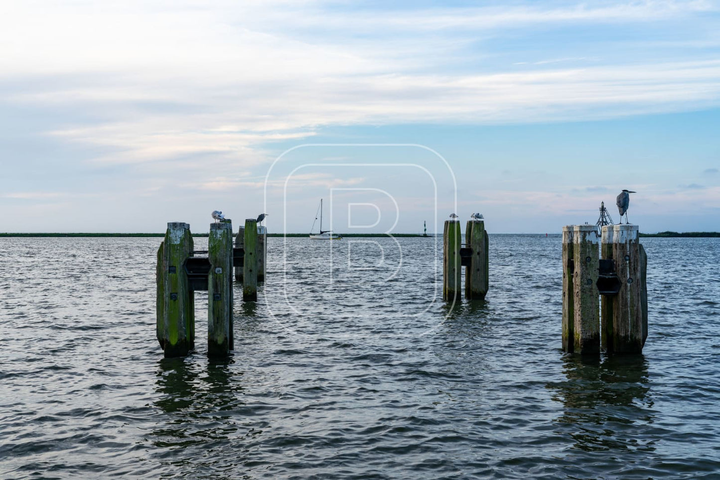 STILLEVEN_KUST