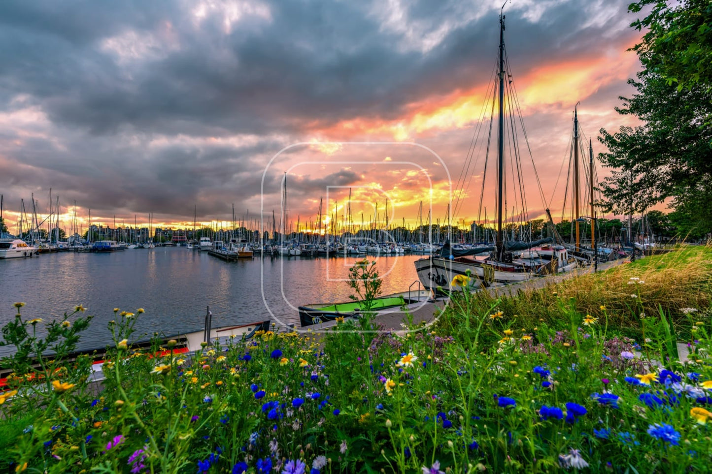 GRASHAVEN_ZOMER_Zonsondergang