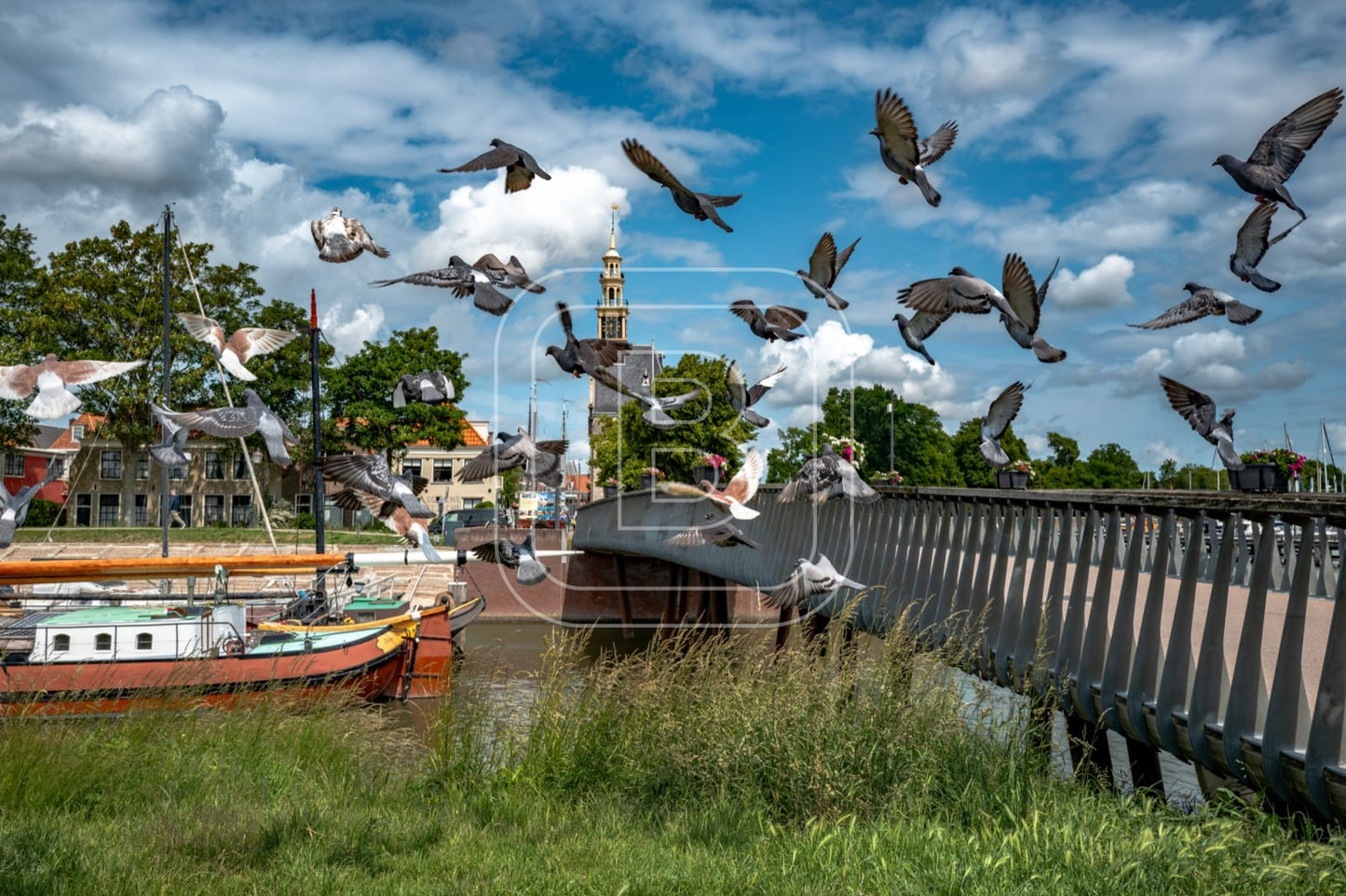 flora_en_fauna_haven_duiven_liggend