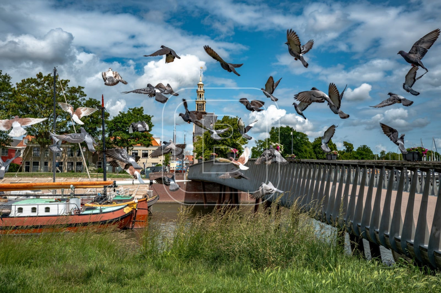 flora_en_fauna_haven_duiven_liggend