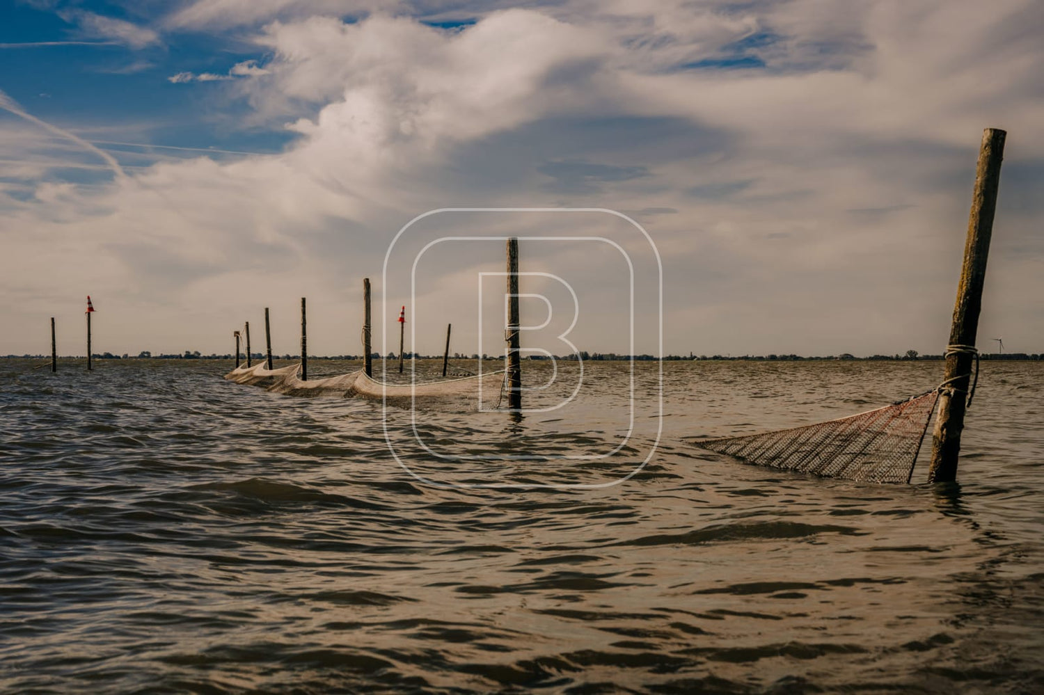 STILLEVEN_KUST