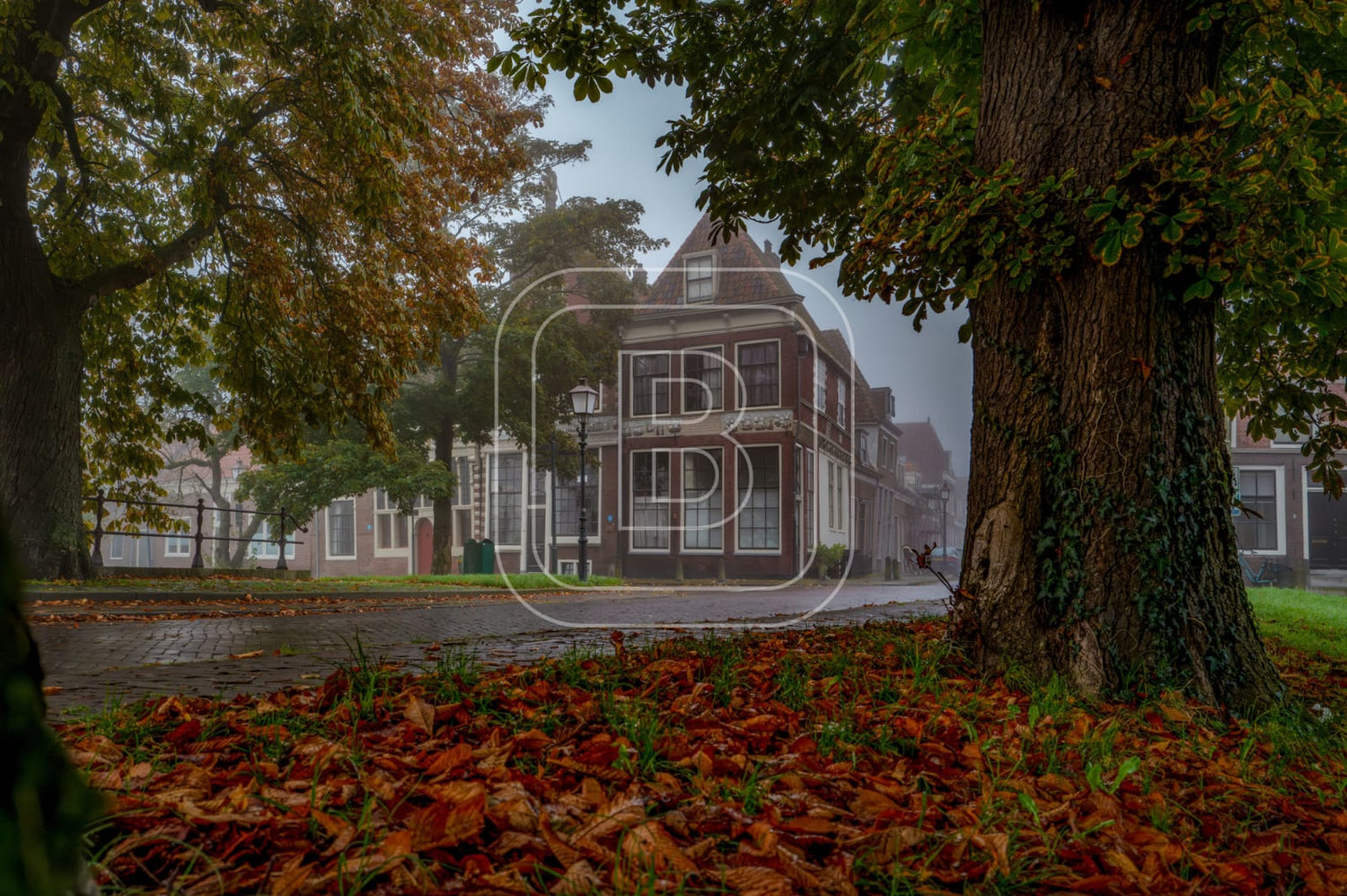 GROTE_OOST_BOSSUHUIZEN
