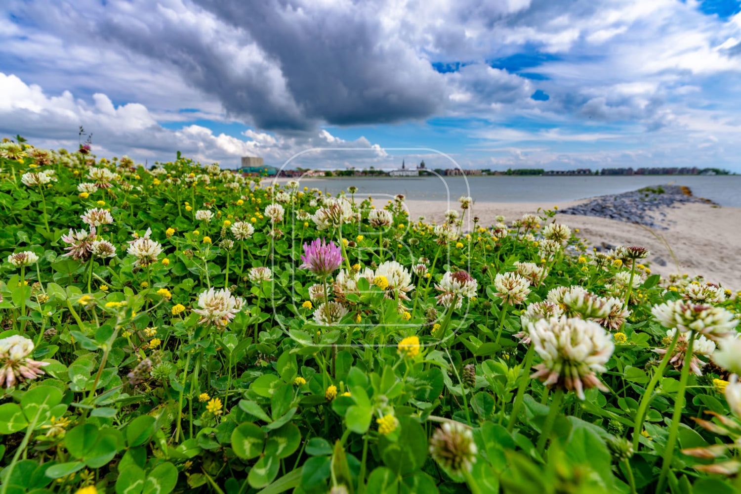 LANDSCHAP_STADSSTRAND