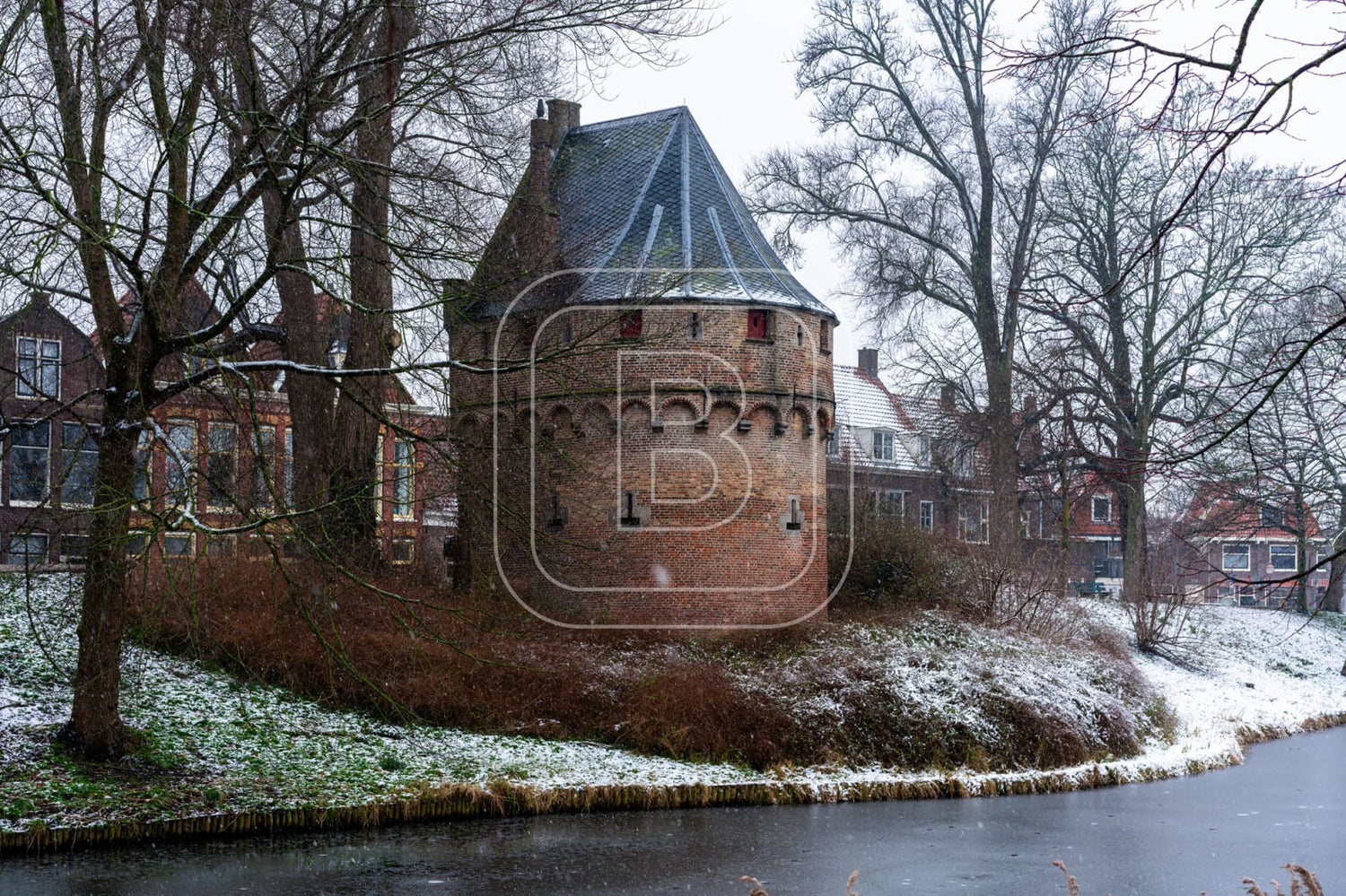 KRUITTOREN_DRAAFSINGEL_WINTER