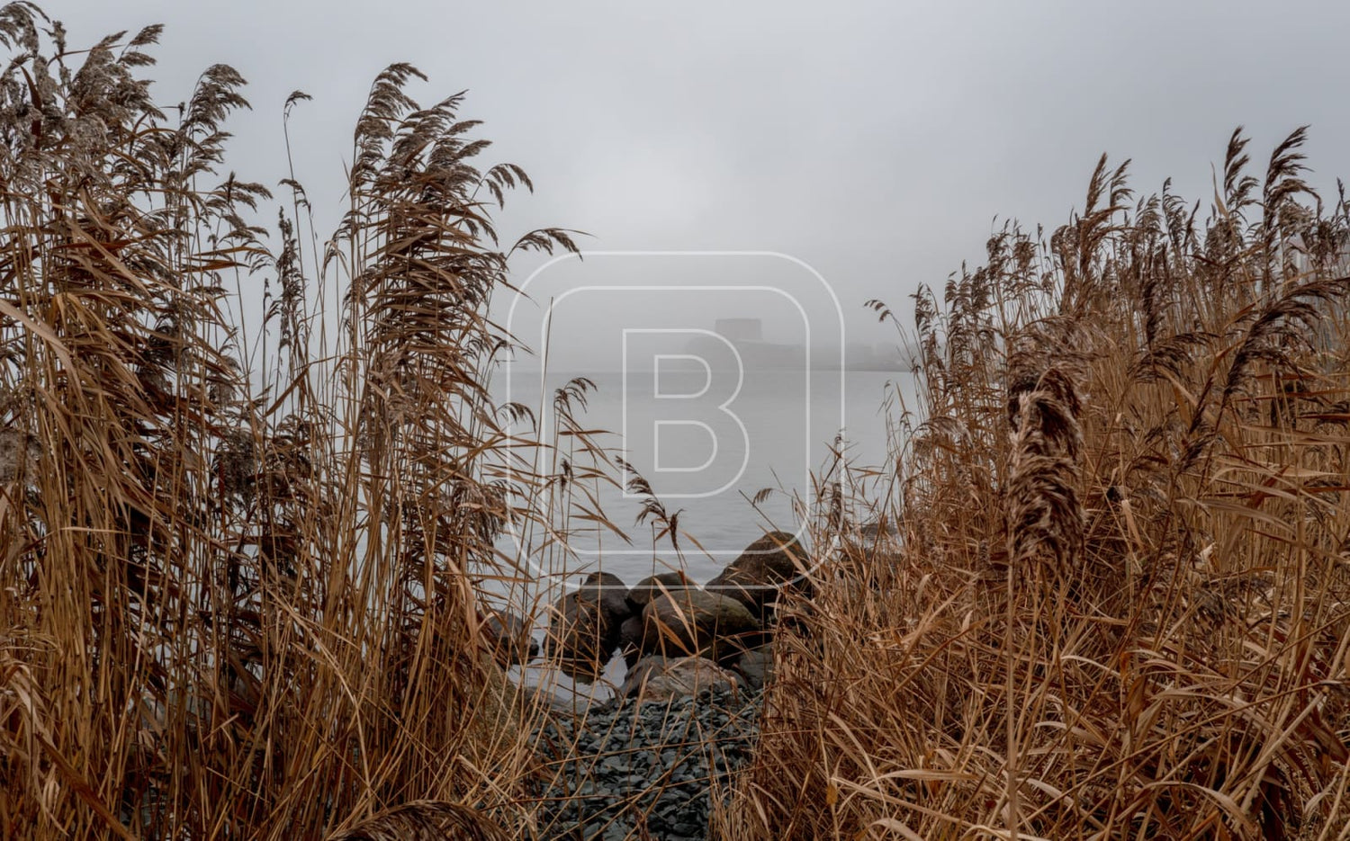 landschap_westerdij_liggend
