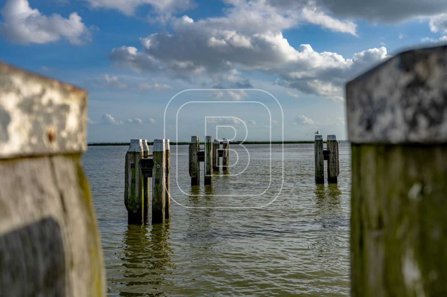 STILLEVEN_KUST