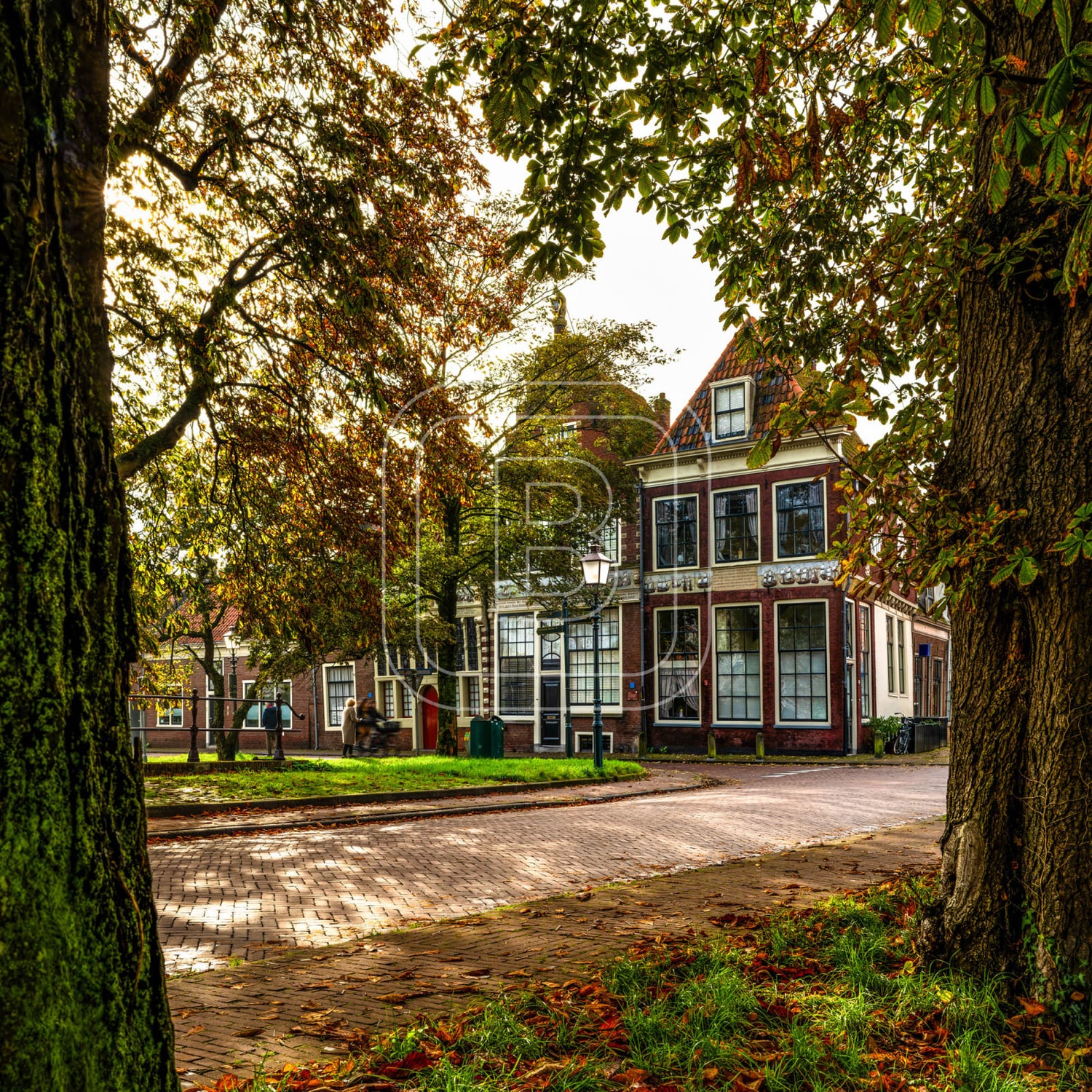 GROTE_OOST_BOSSUHUIZEN