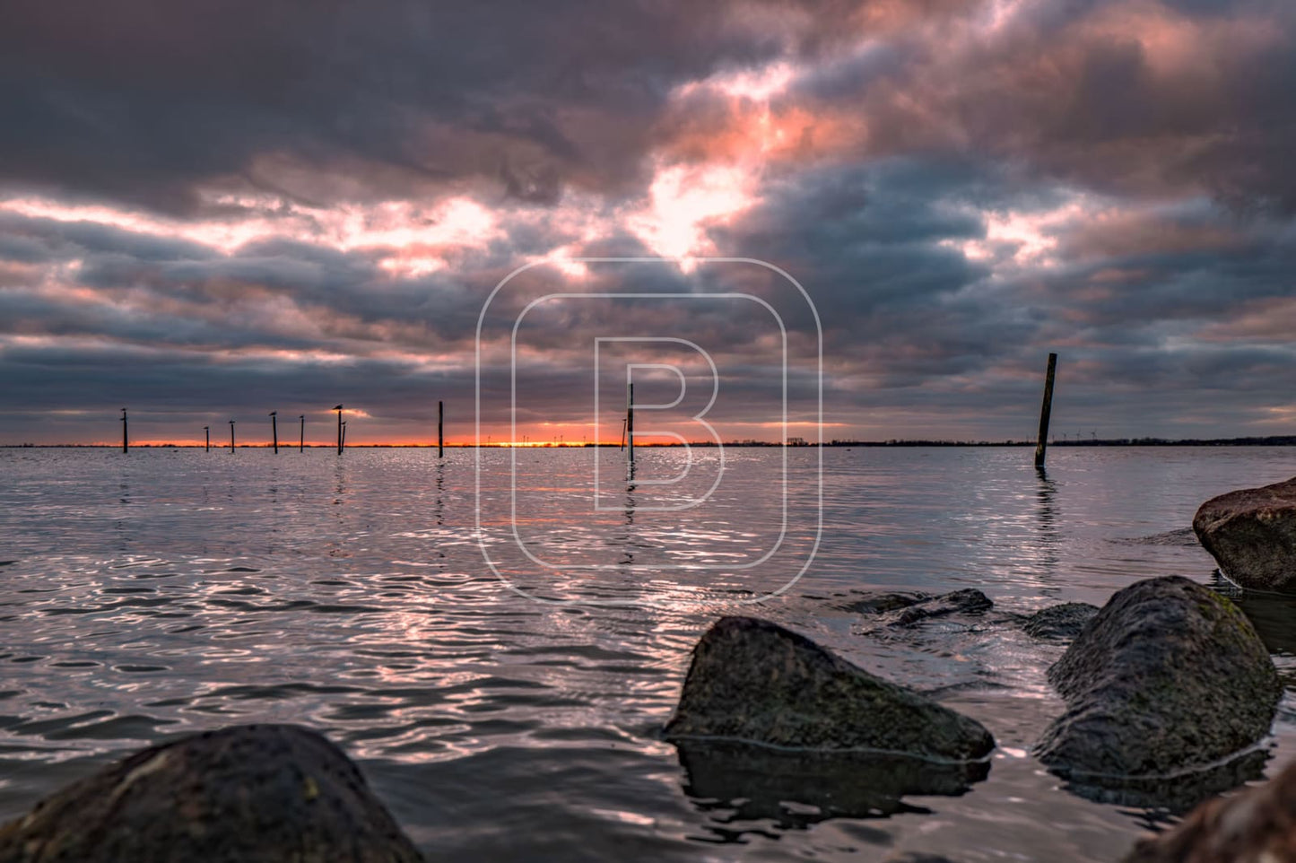 STILLEVEN_KUST
