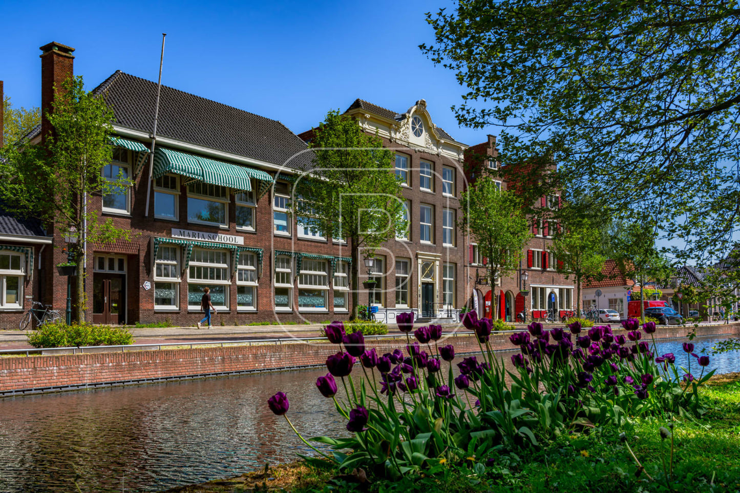 ONDER_DE_BOOMPJES