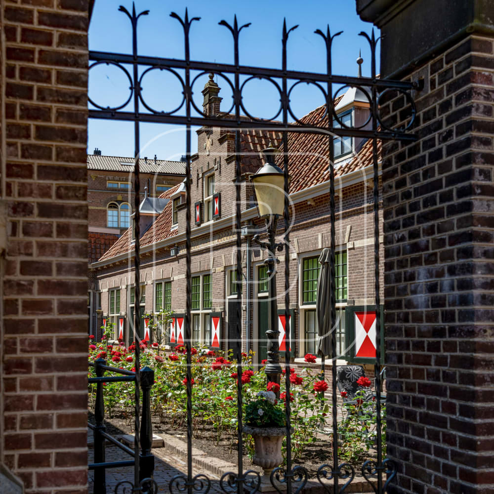 overzicht