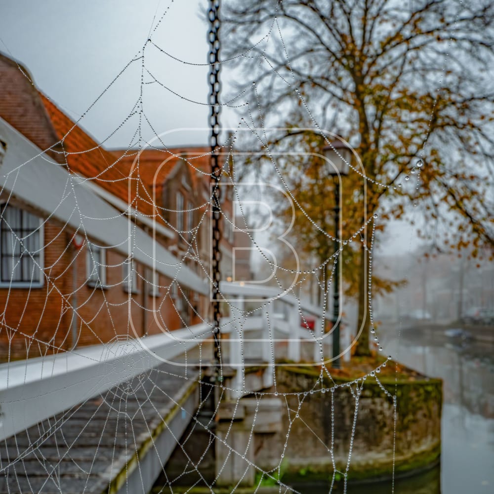overzicht