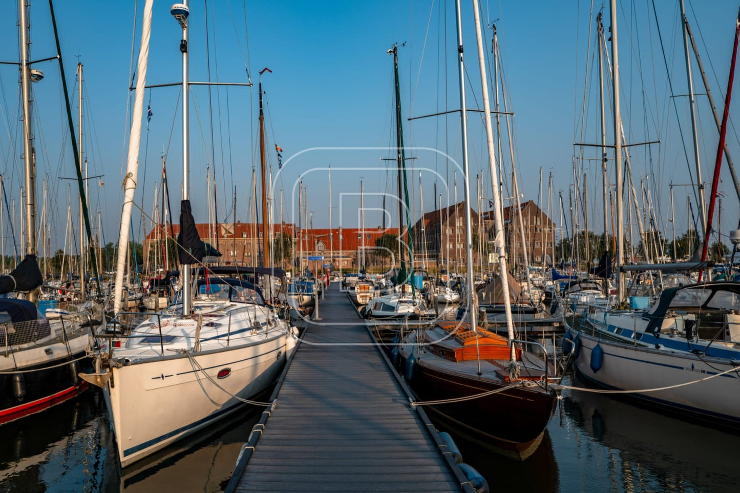 GRASHAVEN_OOSTEREILAND_ZOMER