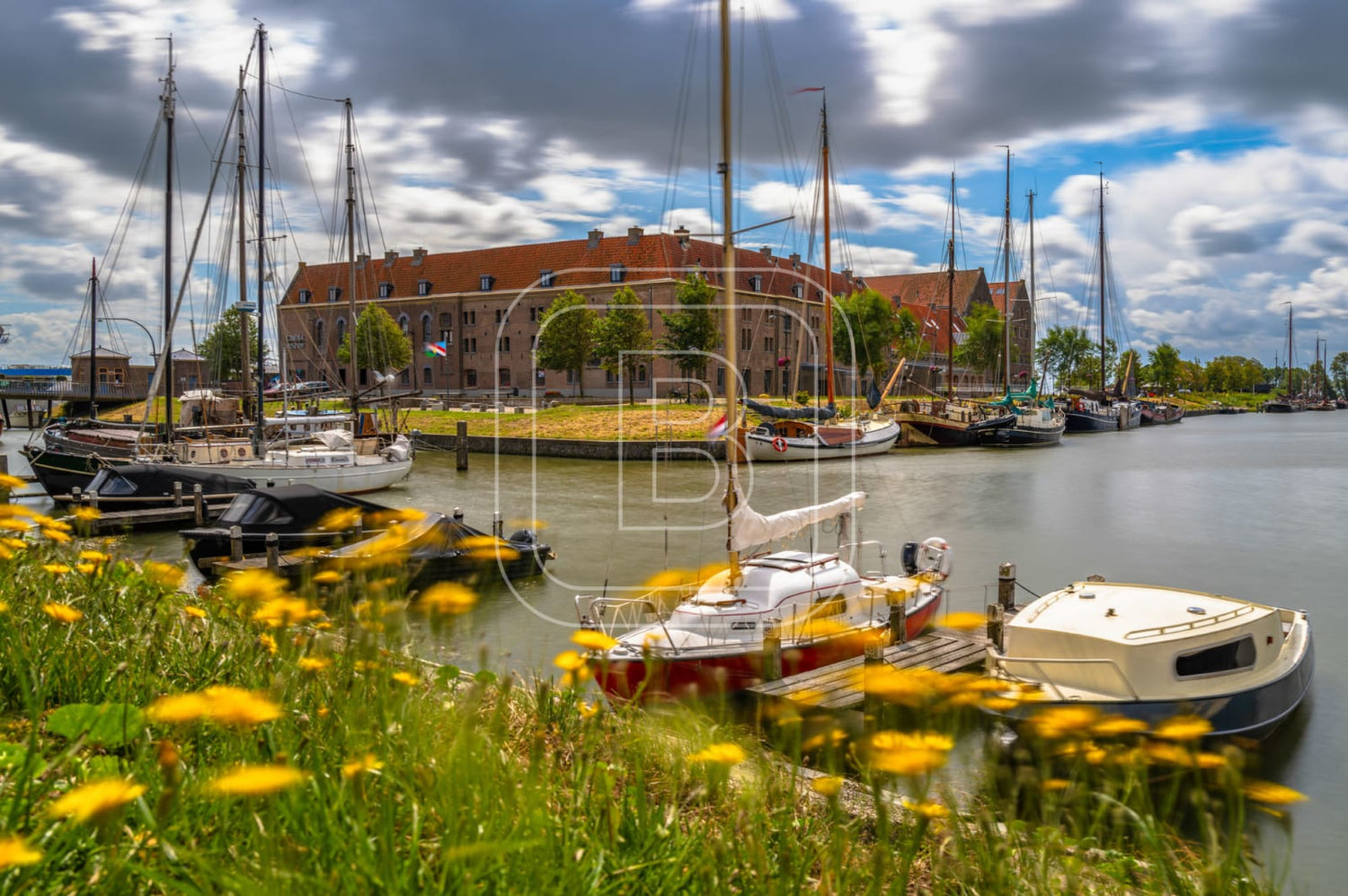OOSTEREILAND_ZOMER