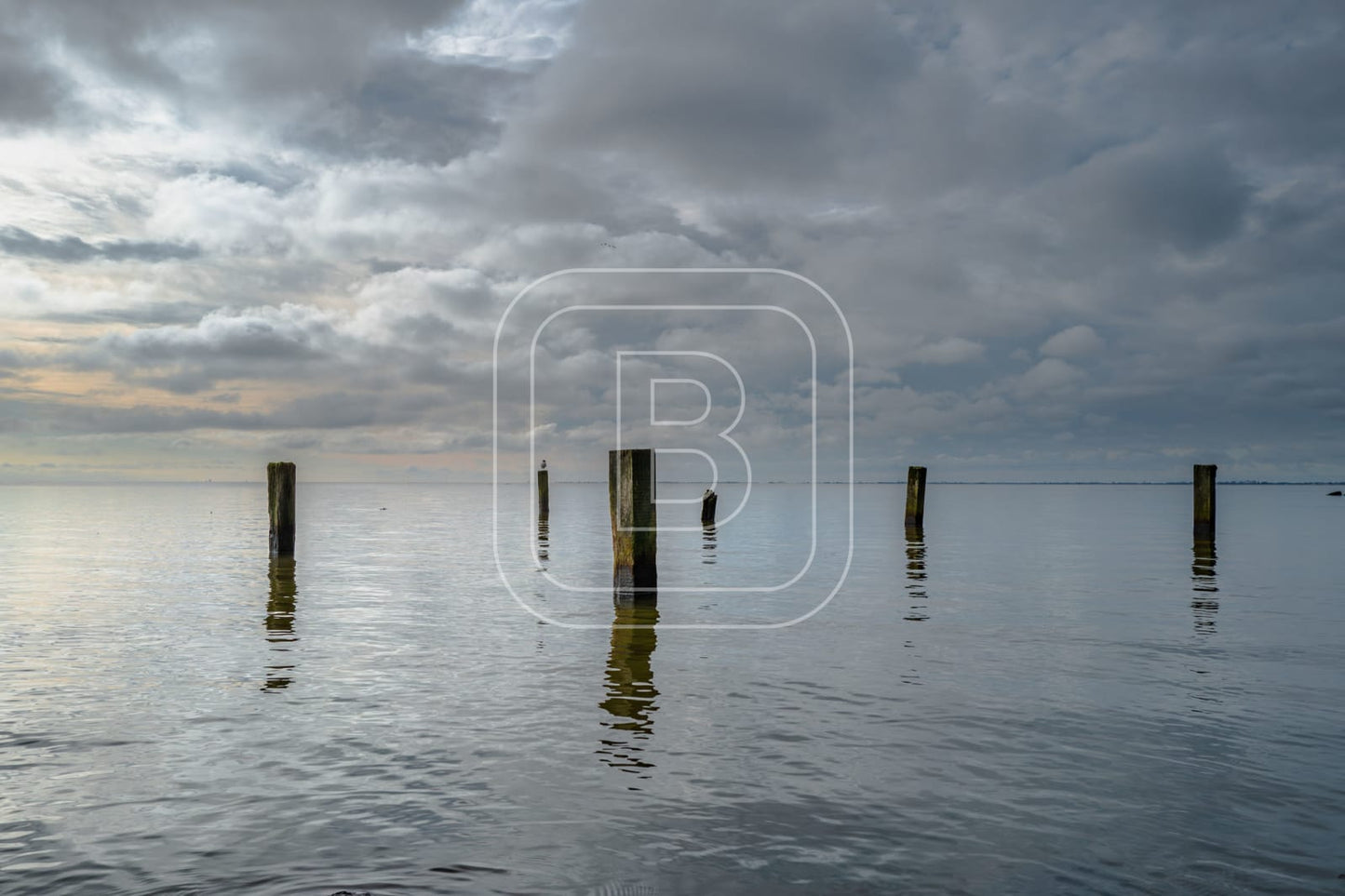 STILLEVEN_KUST