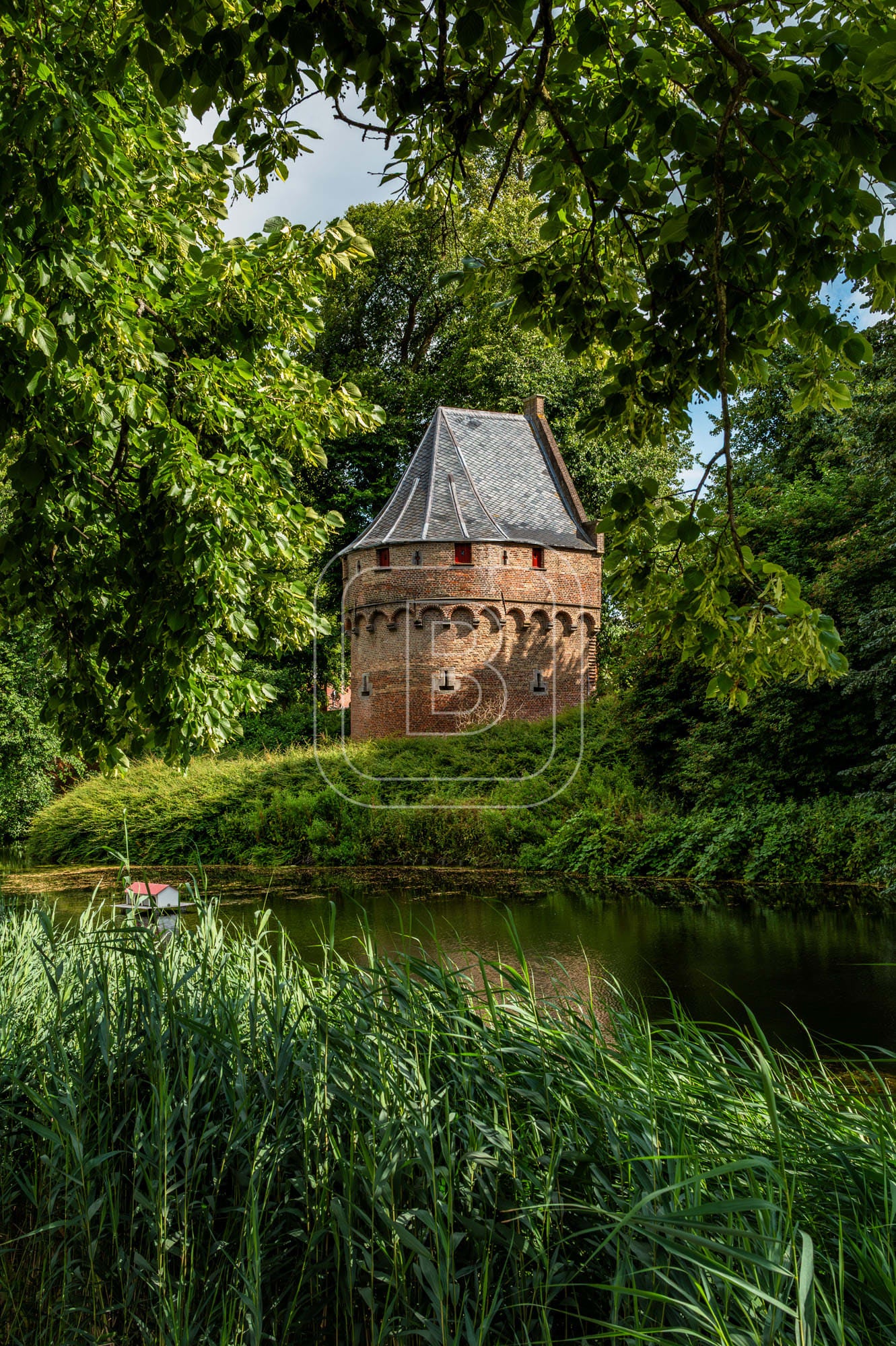 KRUITTOREN_DRAAFSINGEL_ZOMER