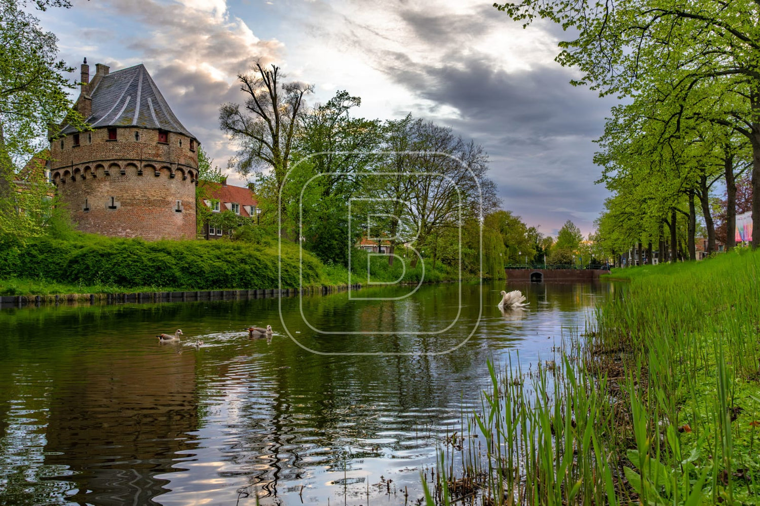KRUITTOREN_DRAAFSINGEL_ZOMER