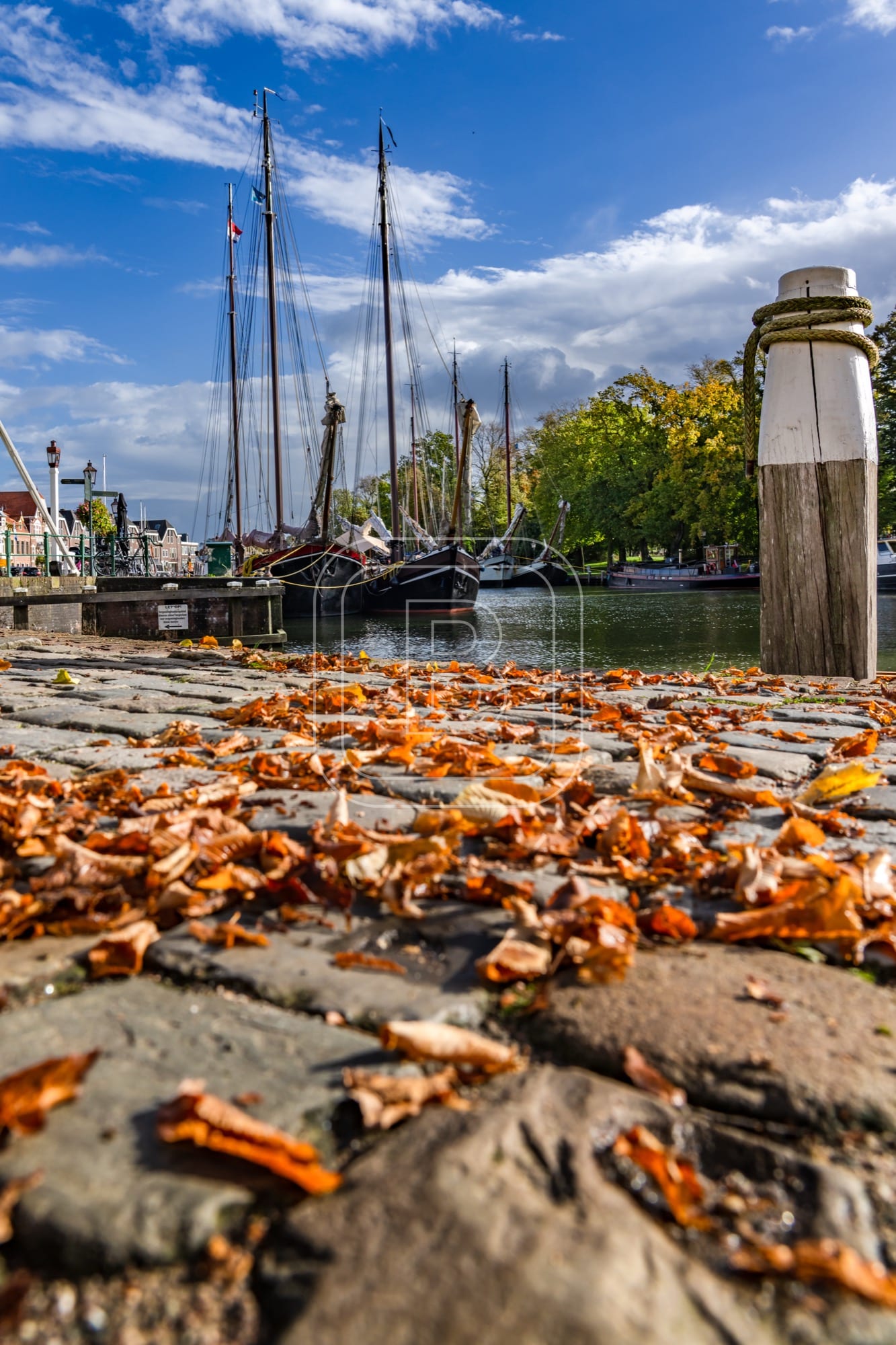 HAVENBEELD_BINNENHAVEN