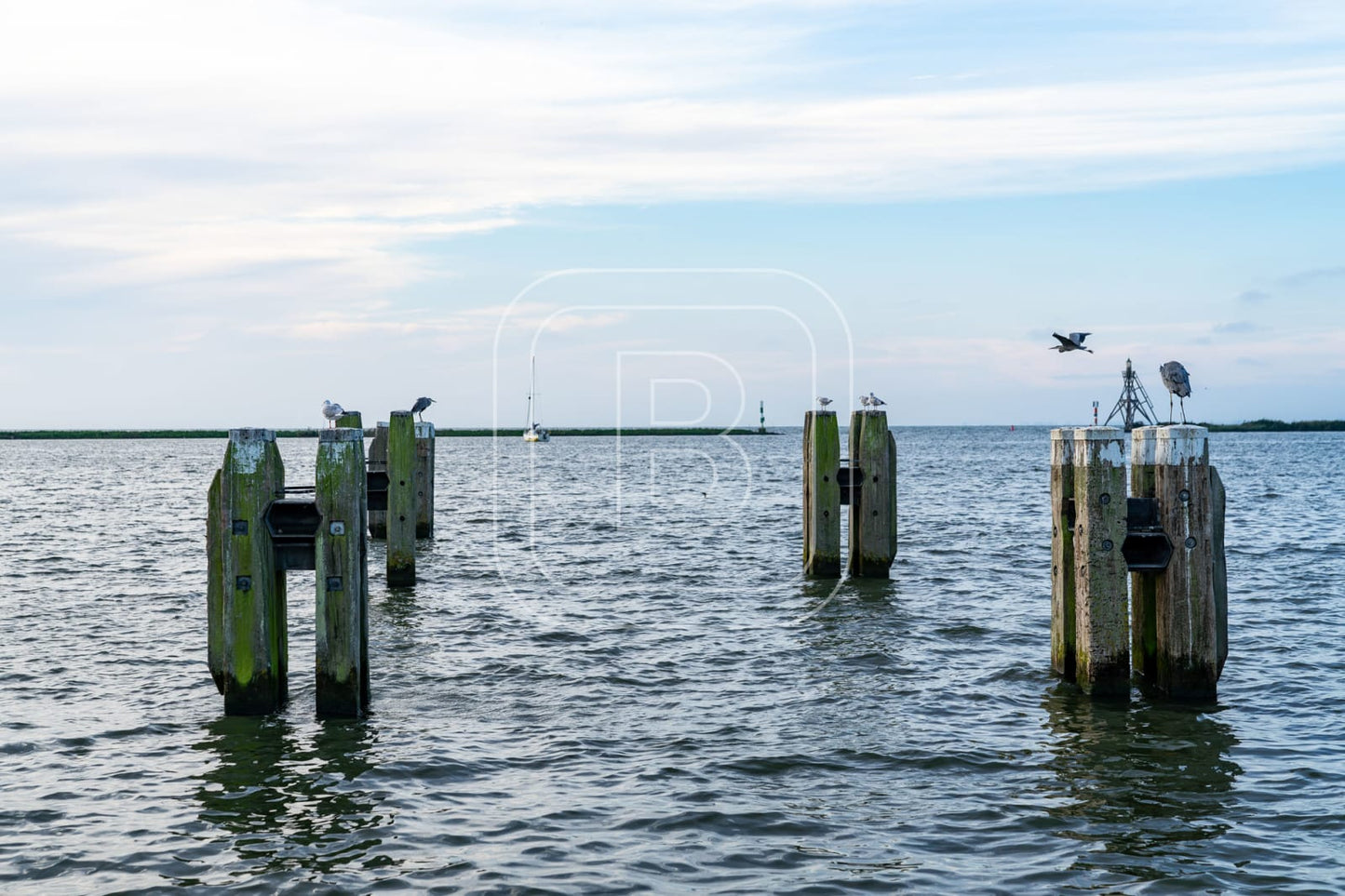 STILLEVEN_KUST