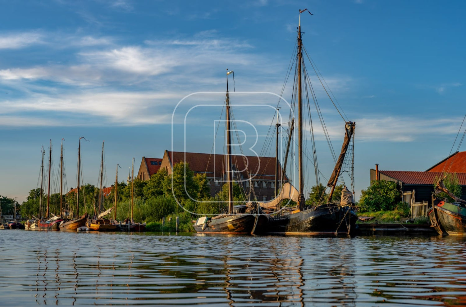 GRASHAVEN_OOSTEREILAND_ZOMER