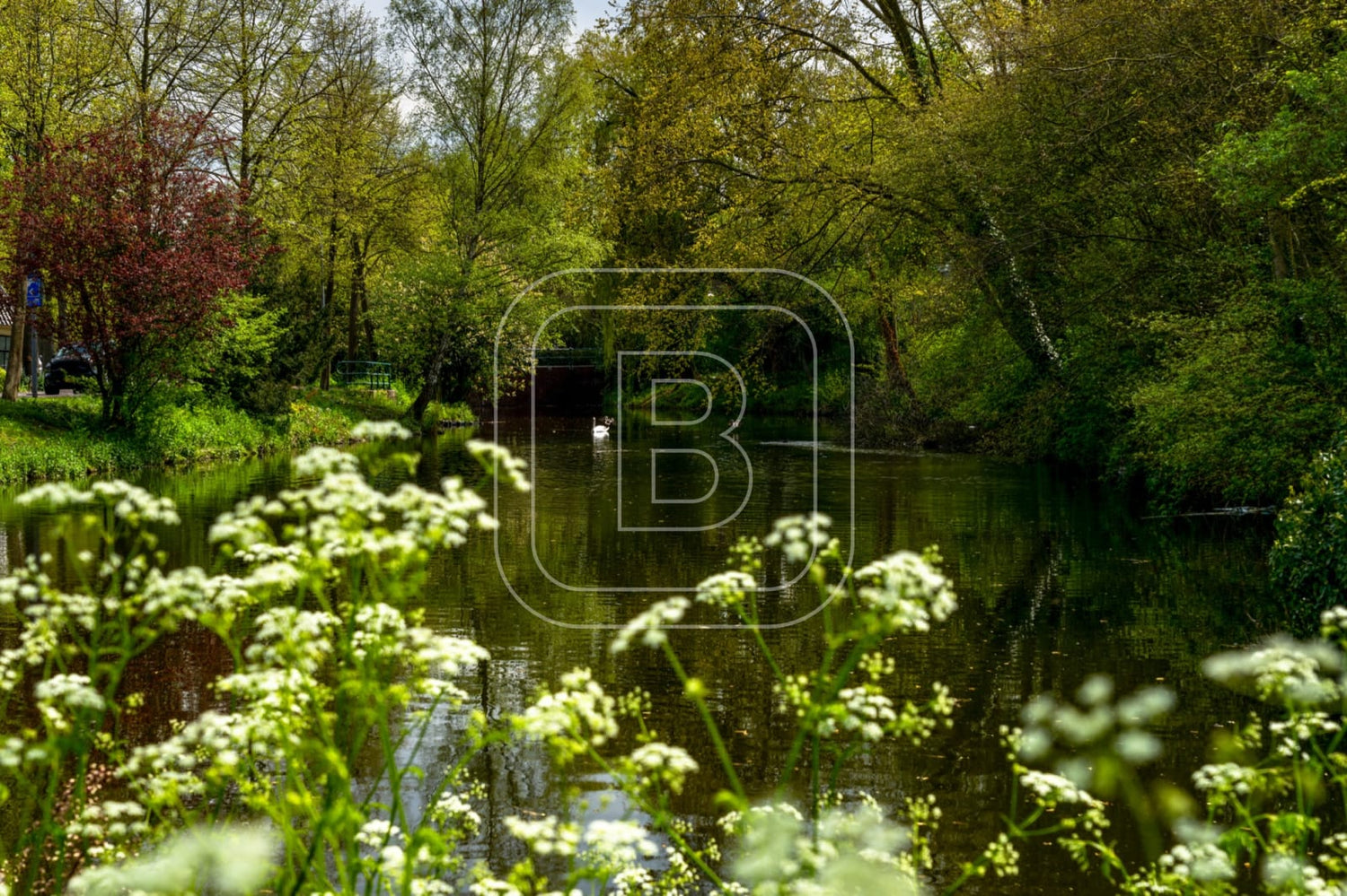 landschap_spoorsingel_liggend