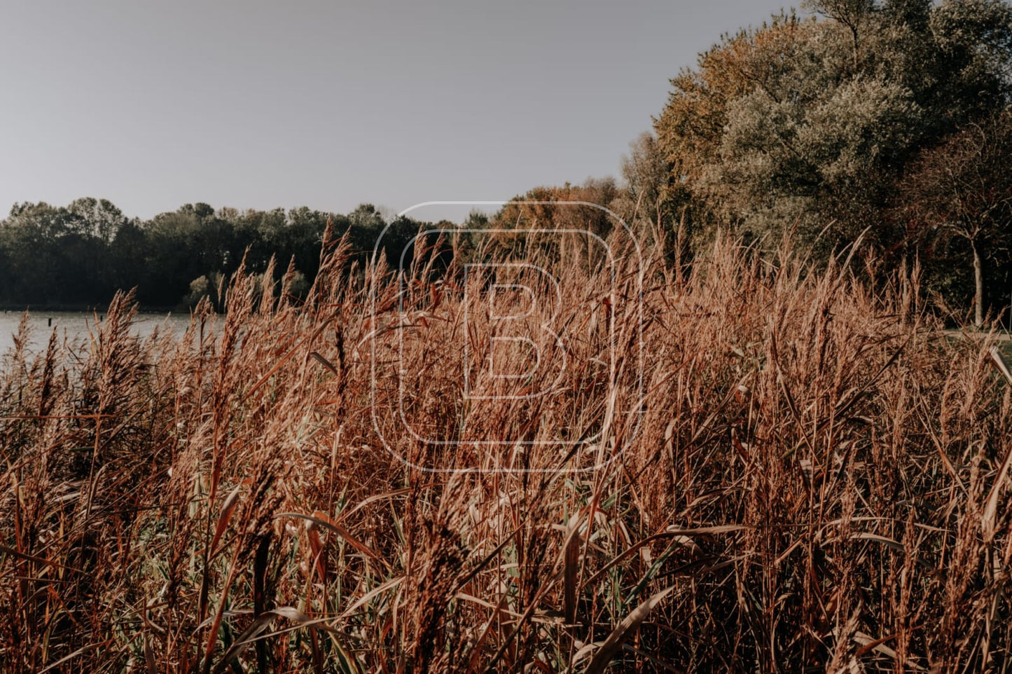 landschap_julianapark_liggend