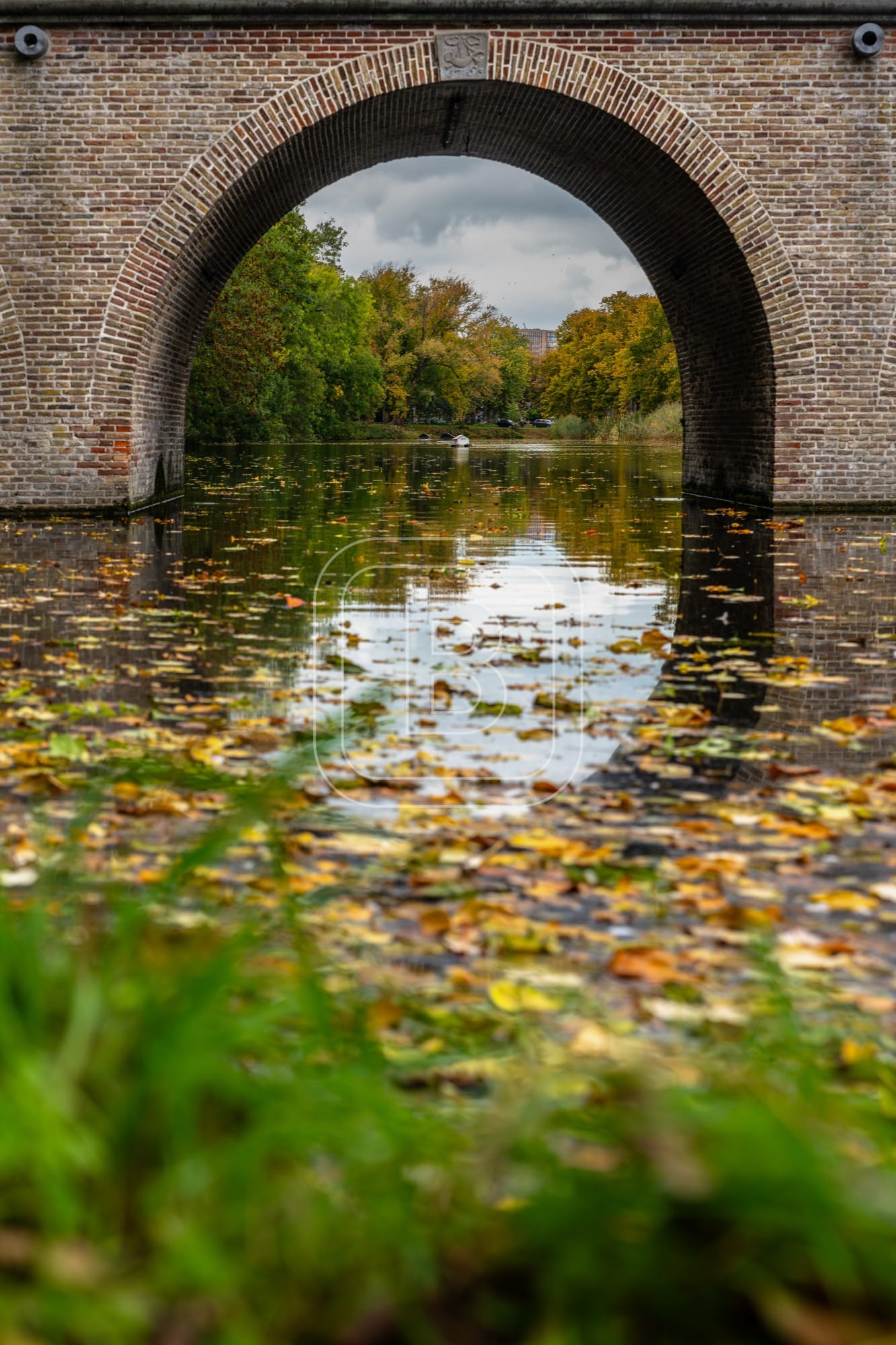 landschap_draafsingel_staand