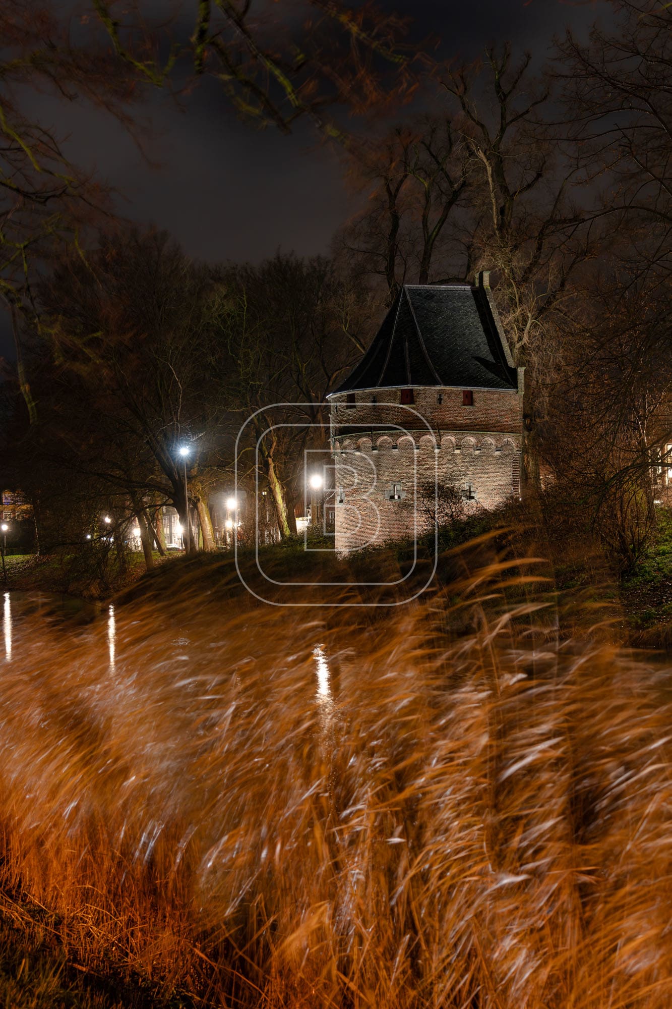 KRUITTOREN_DRAAFSINGEL_WINTER