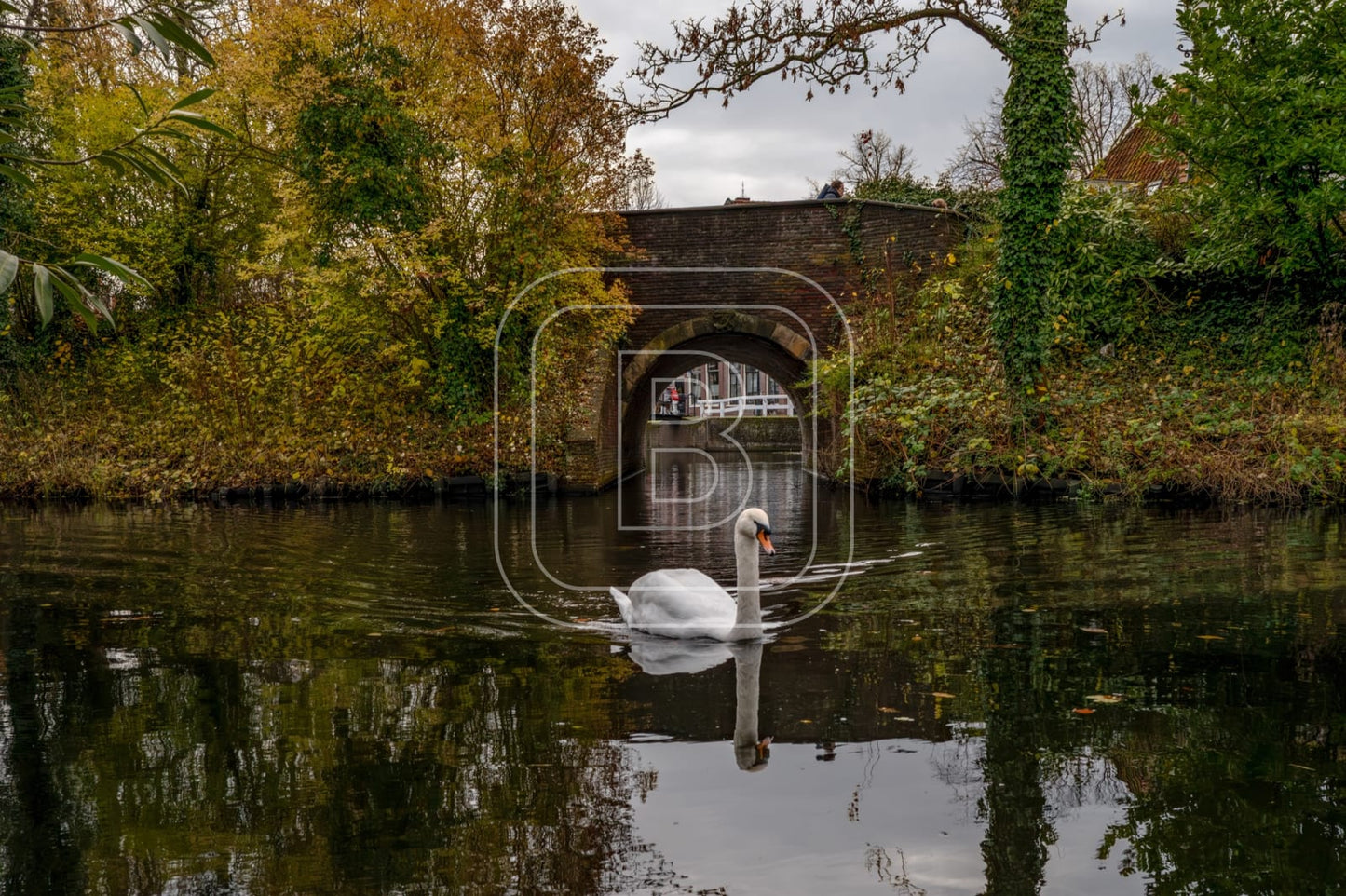 landschap_spoorsingel_liggend