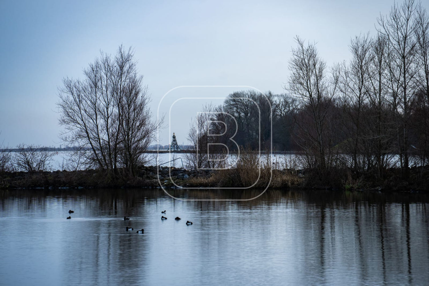 LANDSCHAP_JULIANAPARK
