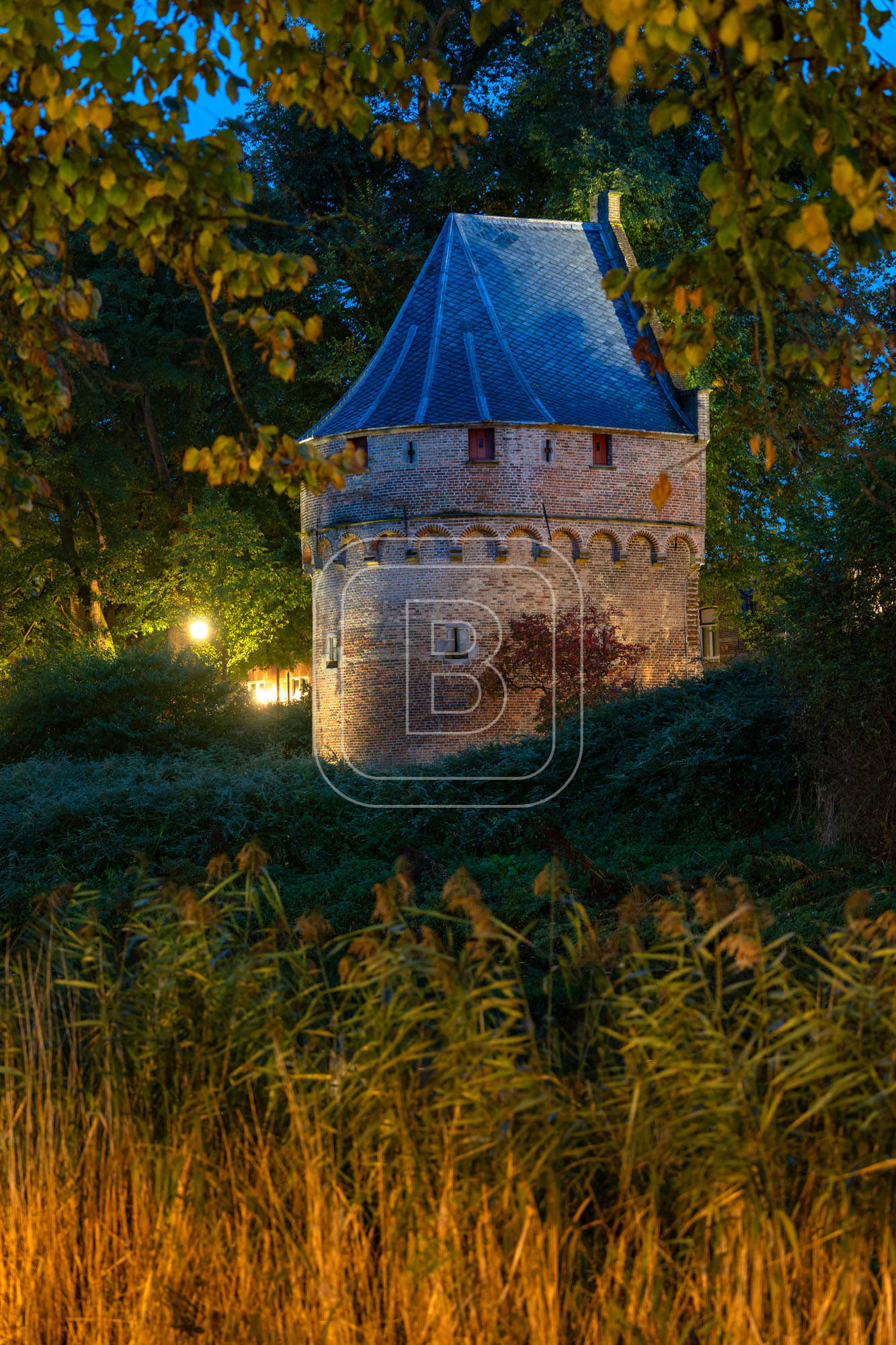 KRUITTOREN_DRAAFSINGEL_HERFST