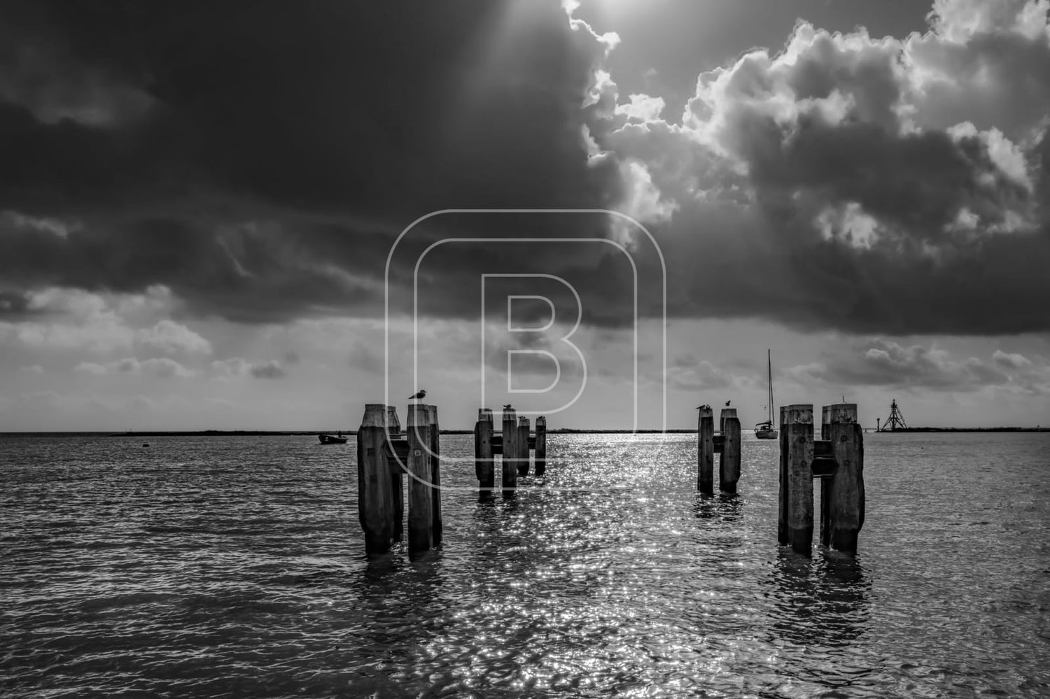 STILLEVEN_KUST
