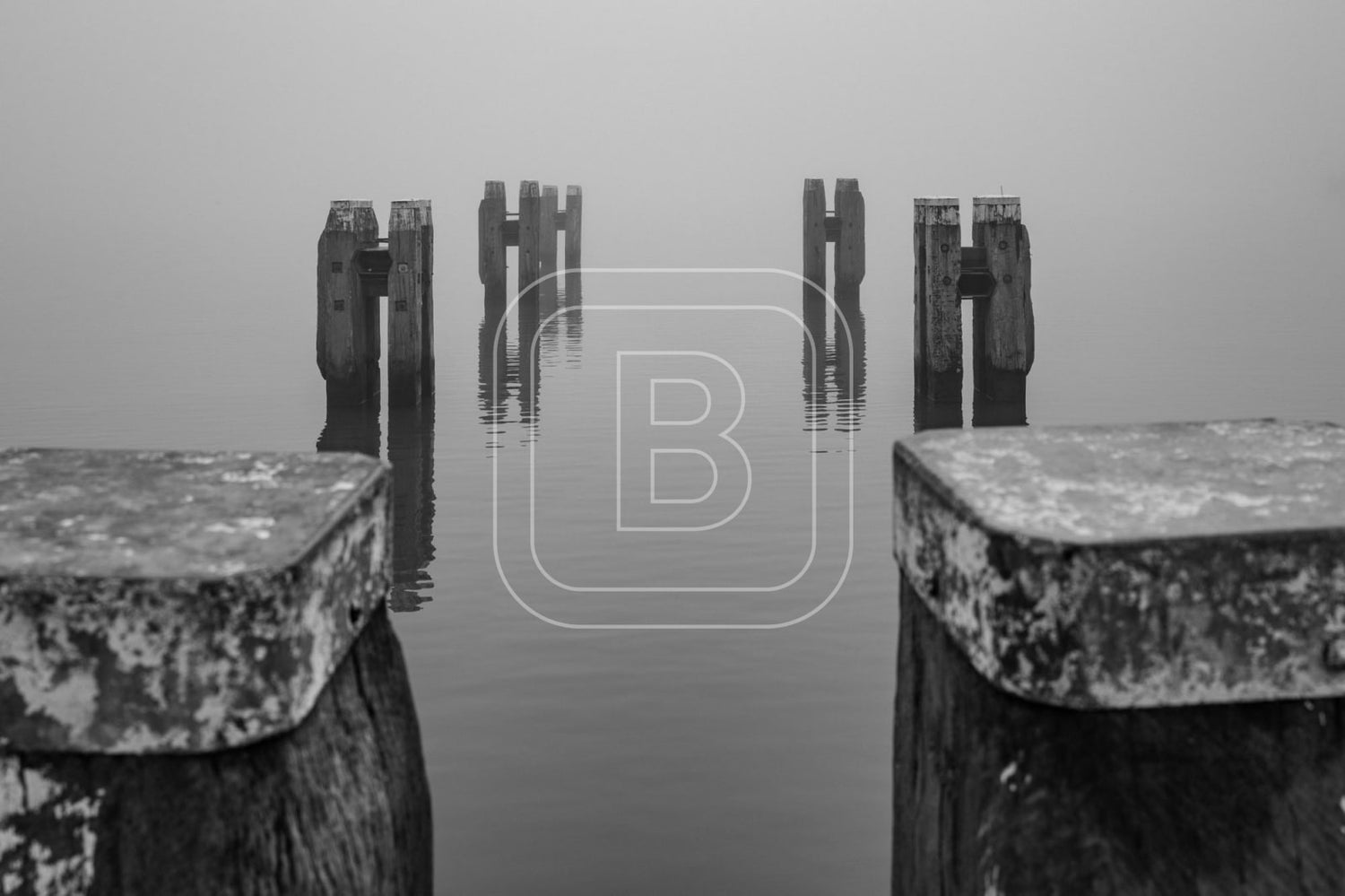 STILLEVEN_KUST