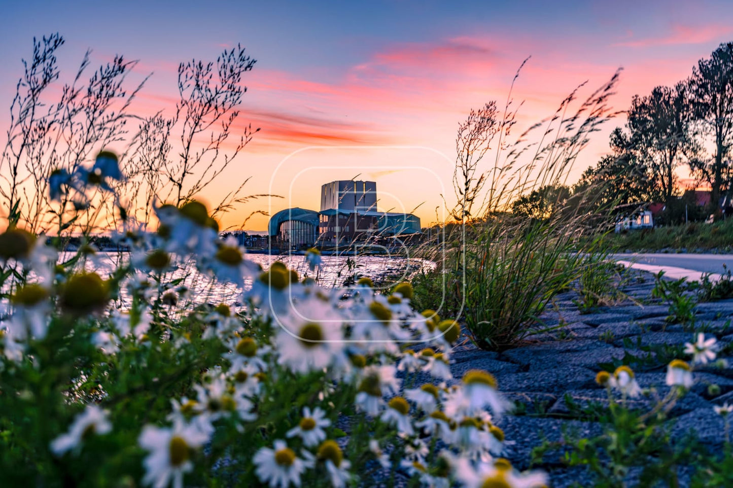 LANDSCHAP_WESTERDIJK_PARK_SCHOUWBURG