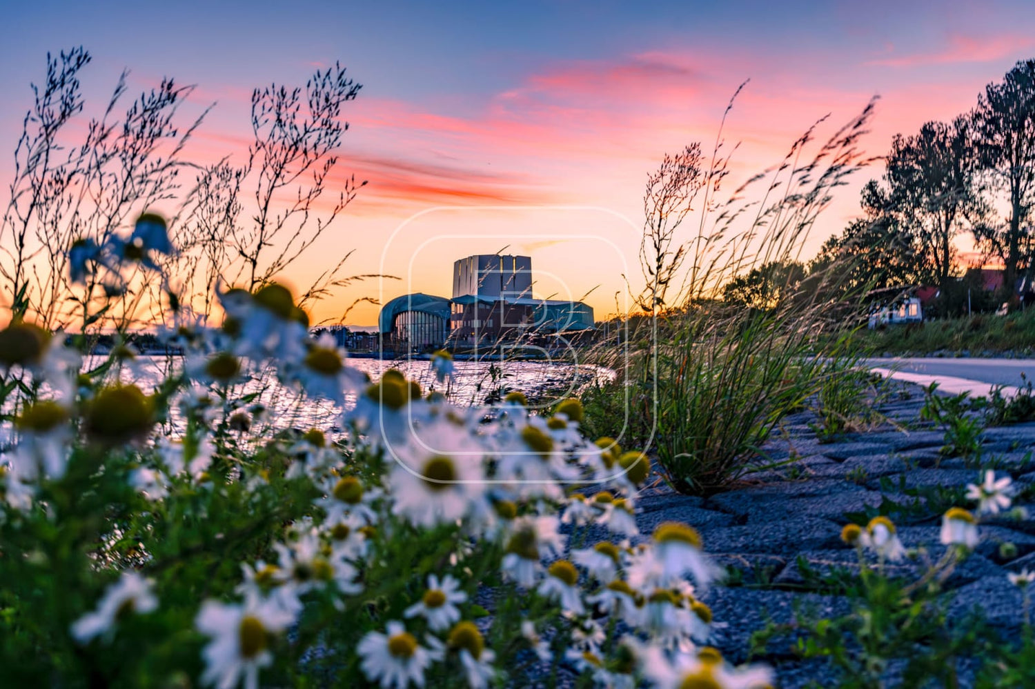 LANDSCHAP_WESTERDIJK_PARK_SCHOUWBURG