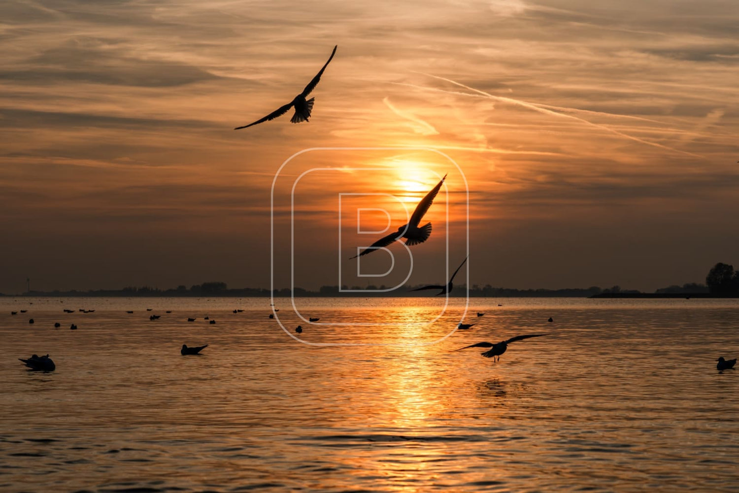 flora_en_fauna_meeuwen_liggend