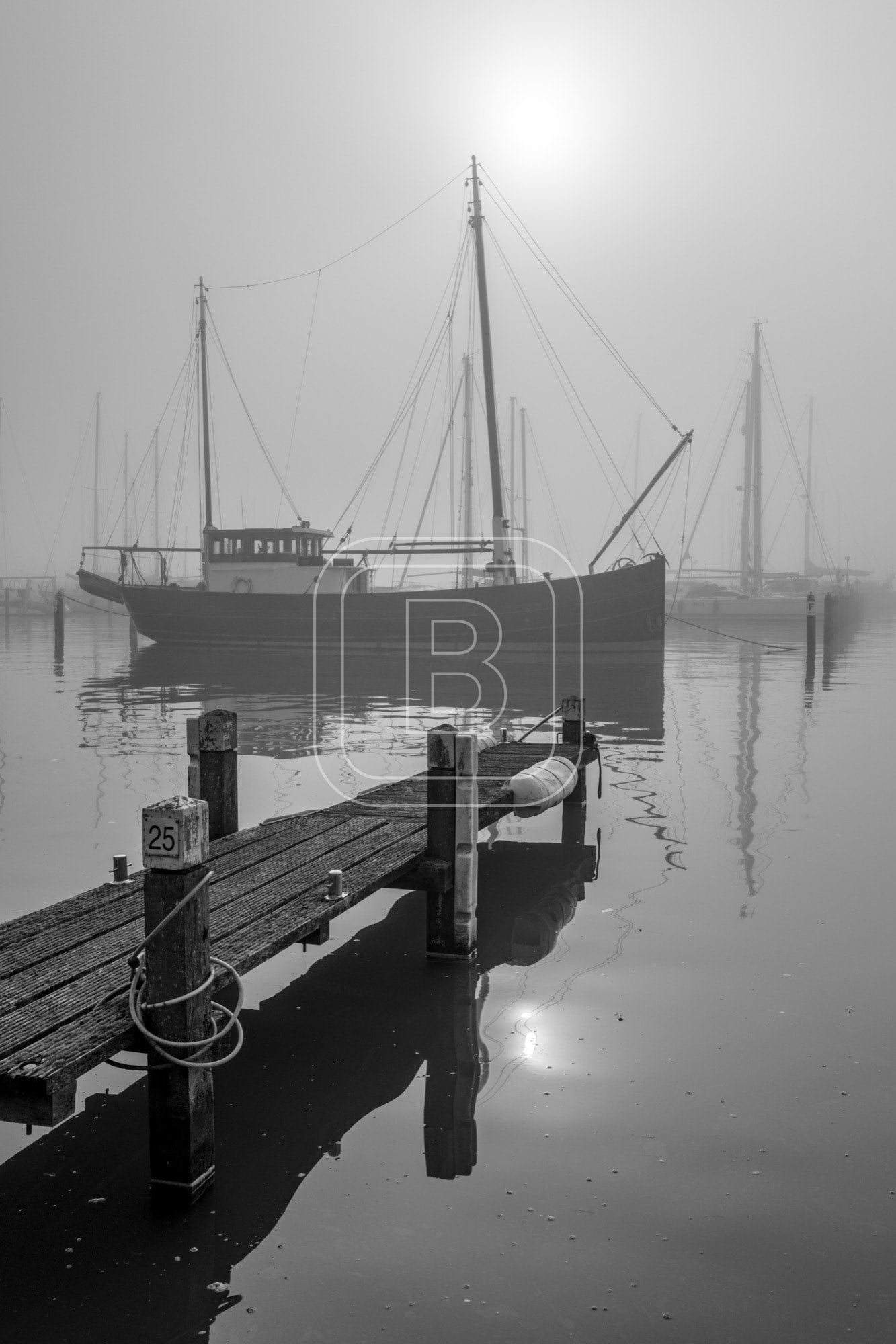 GRASHAVEN_MISTIG_ZWARTWIT
