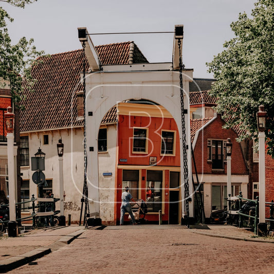 overzicht