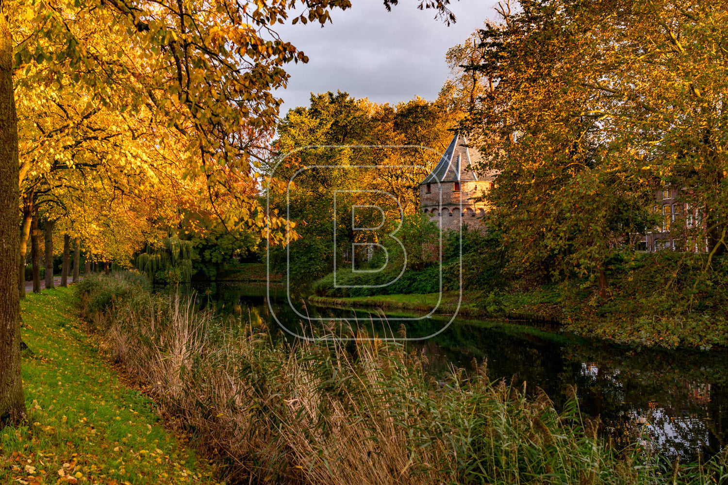 KRUITTOREN_DRAAFSINGEL_HERFST