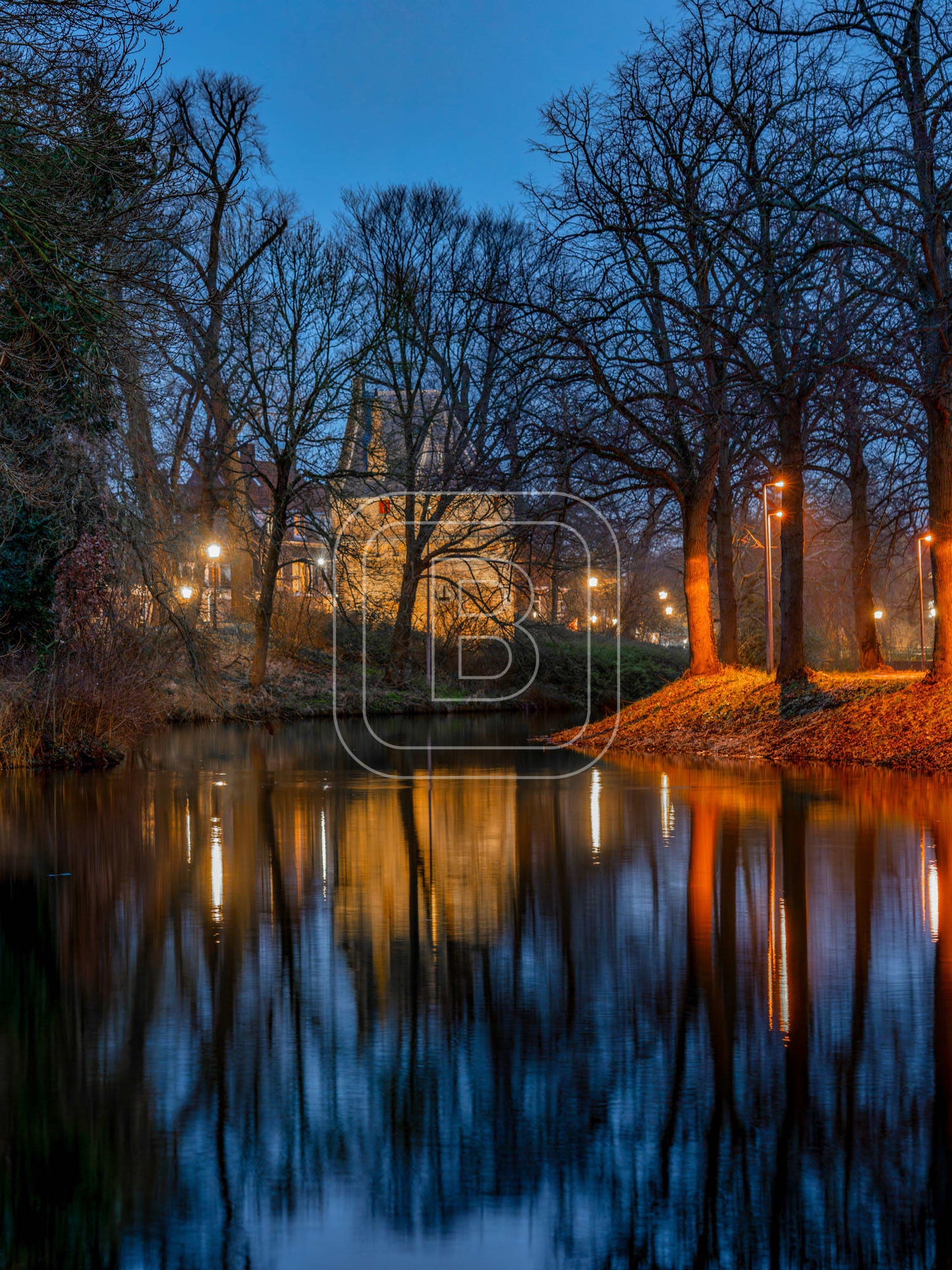 KRUITTOREN_DRAAFSINGEL_WINTER